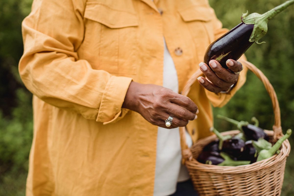 Woman in a farm holding a basket of freshly harvested vegetables