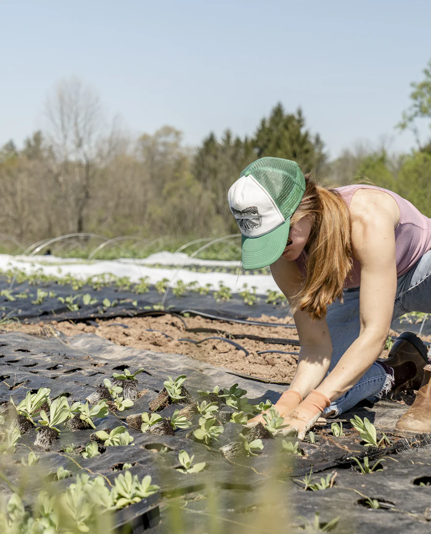Woman planting seedlings in a farm field